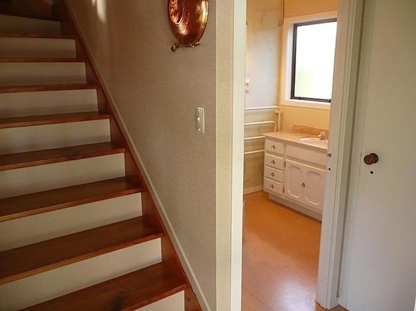 Cute Cottage - Cooks Beach Bach Bagian luar foto